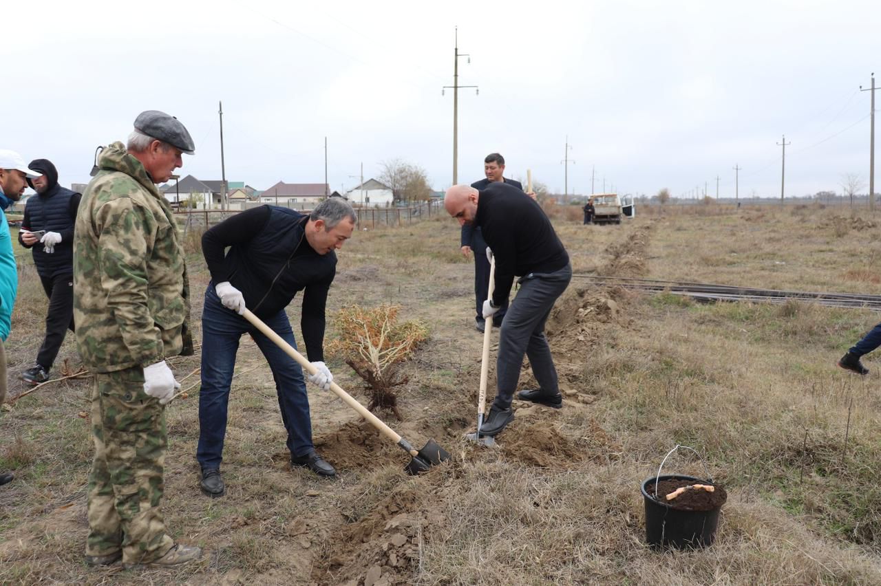 Сотрудники Минприроды РД провели масштабный субботник по озеленению территории в Ногайском районе